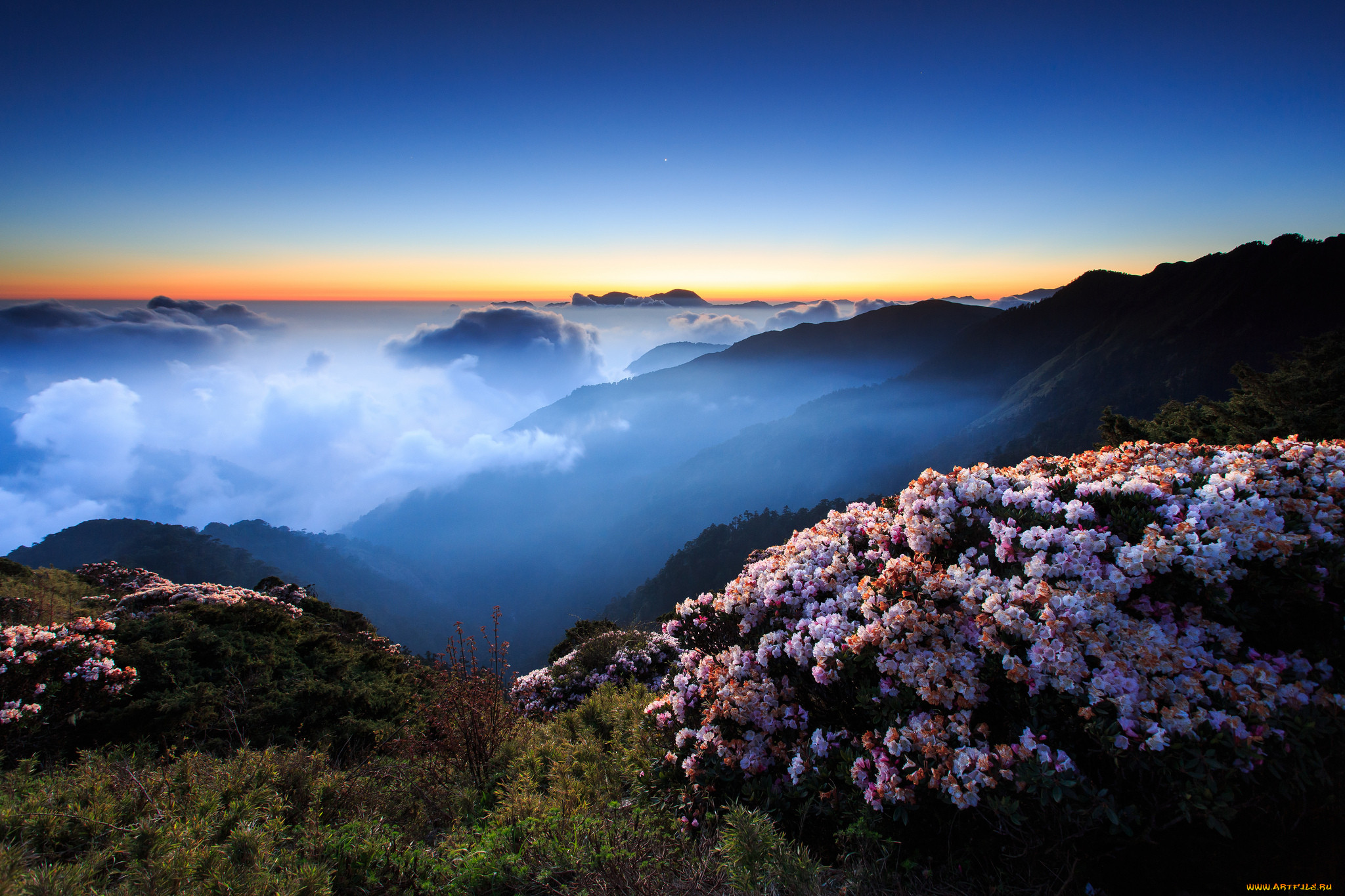 hehuanshan, , , , 